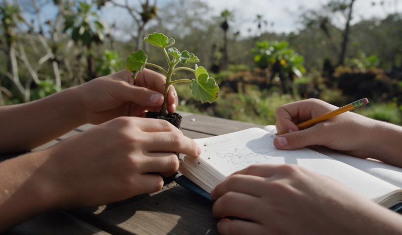 Manos de estudiantes examinando una plántula y un cuaderno de campo